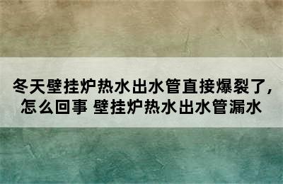 冬天壁挂炉热水出水管直接爆裂了,怎么回事 壁挂炉热水出水管漏水